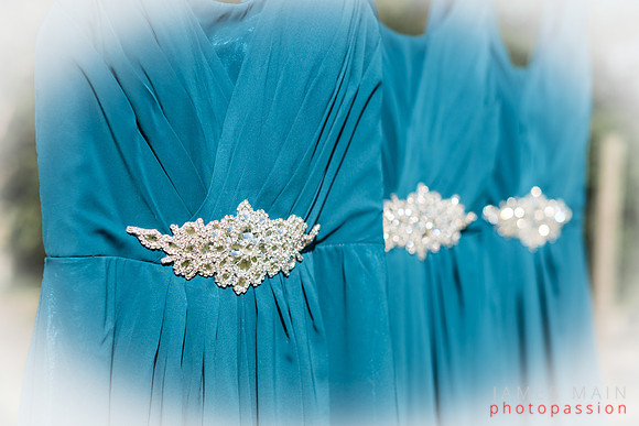 Bridesmaid's Dresses